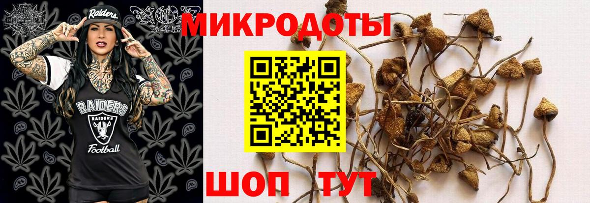 Сочи  Галлюциногенные грибы MAGIC MUSHROOMS  закладка  Галлюциногенные грибы Psilocybe  Вход с VPN 