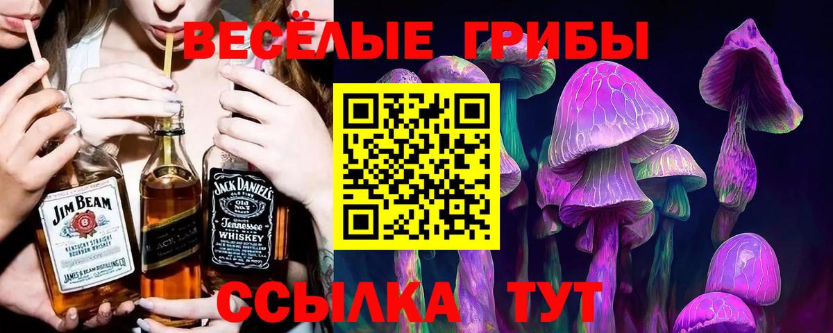 Галлюциногенные грибы прущие грибы Сочи